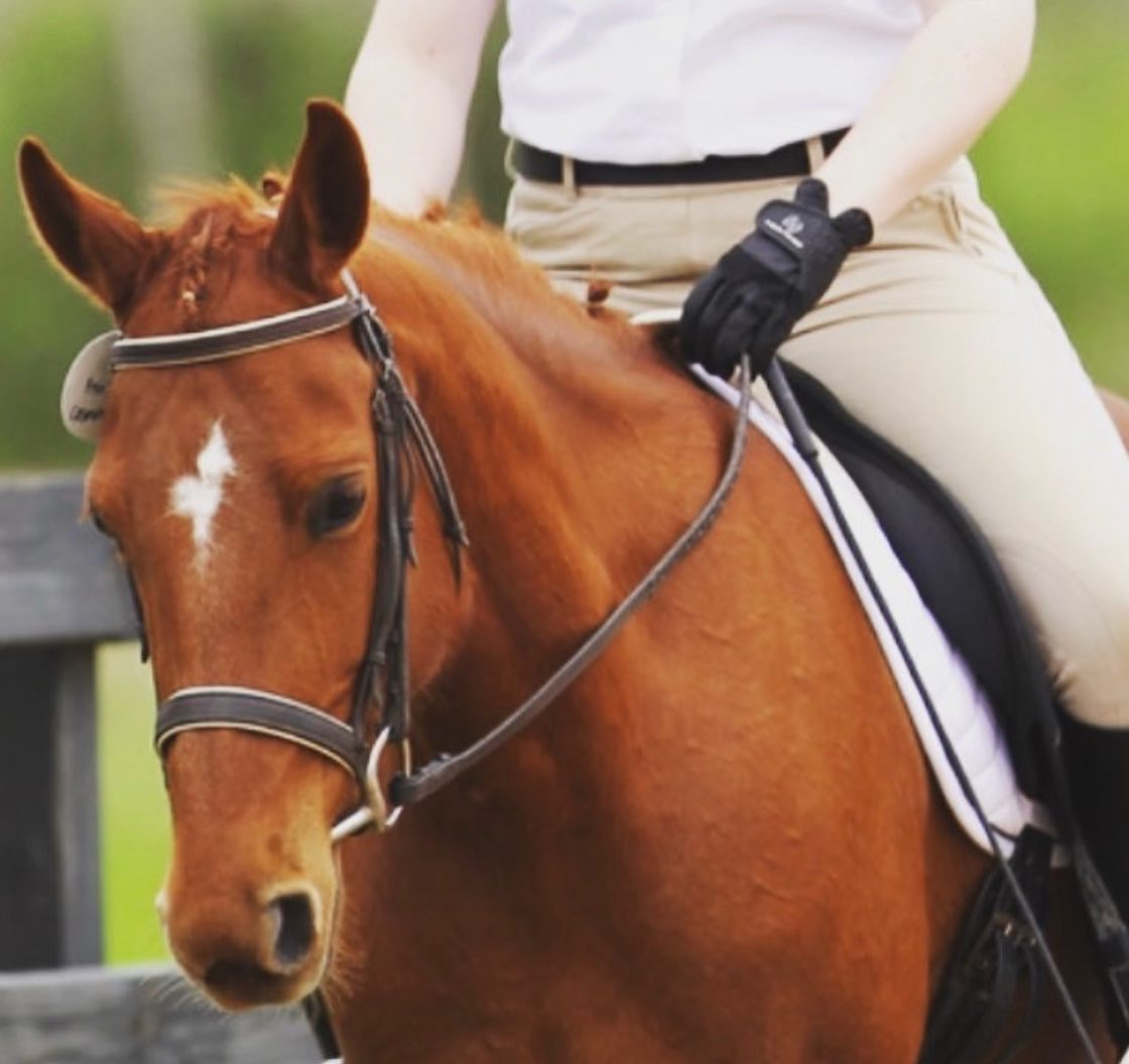 MVEP Aristeaus & Mom (Tylwyth Sage)